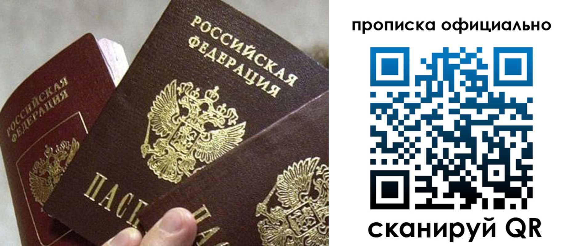прописка гарантия в Туле